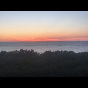 Meet your Posher, Michele